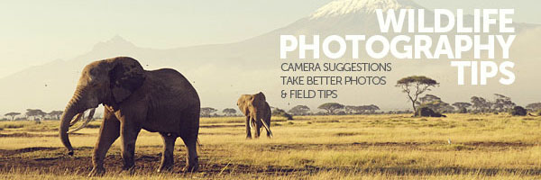 helpful photography tutorials