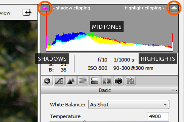 camera raw histogram white balance