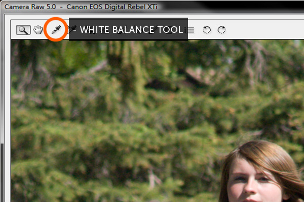 camera raw histogram white balance
