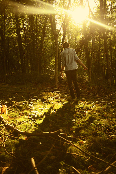 enchanted woodland photo shoot