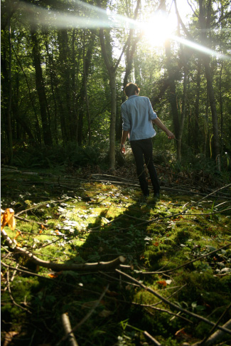 enchanted woodland photo shoot