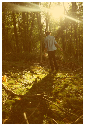 enchanted woodland photo shoot
