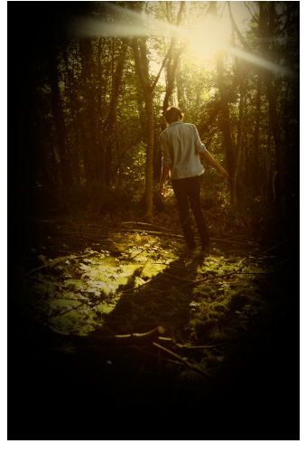 enchanted woodland photo shoot