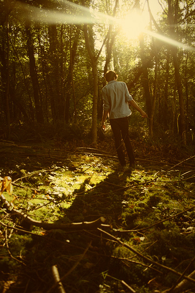 enchanted woodland photo shoot