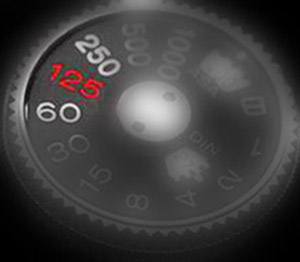 Flash Synch dial