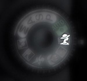 Portrait dial