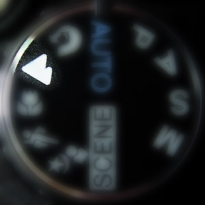 Landscape dial