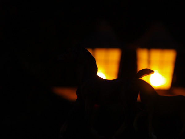 Night Landscape mode