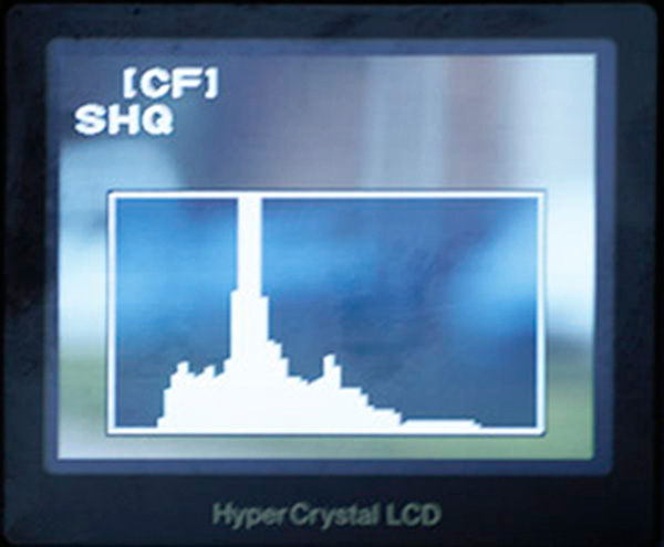 Normal Histogram