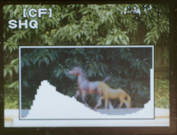 Blown Highlights Histogram