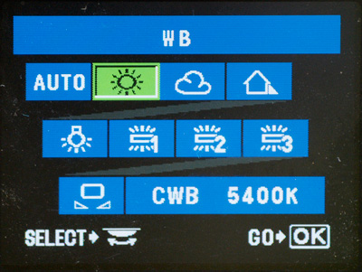 Sunny WB