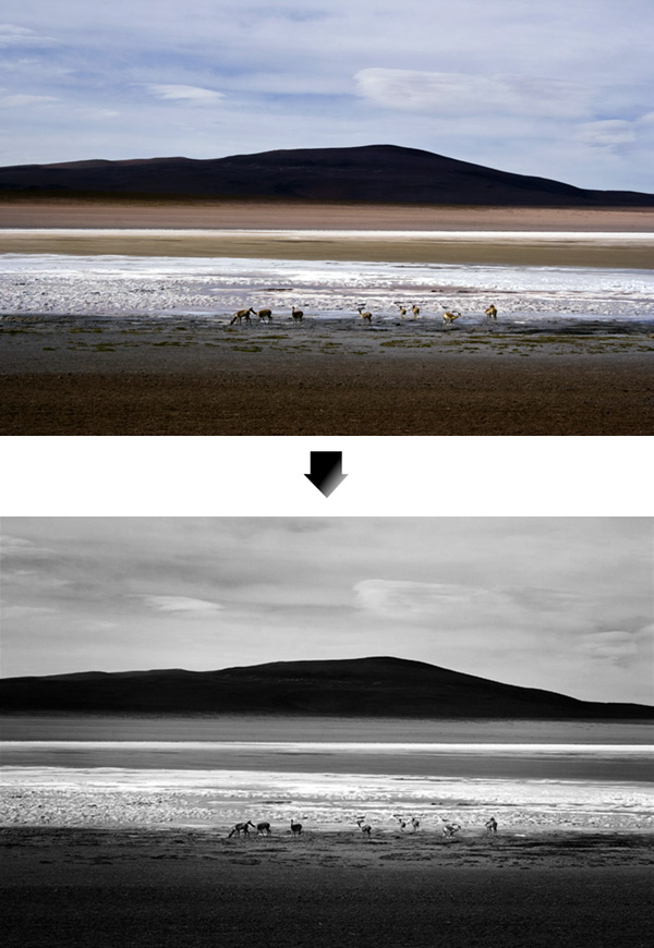 black and white photography