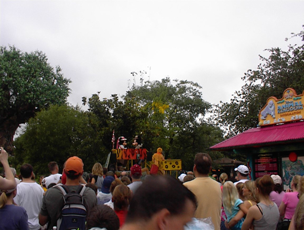 backs of people's heads