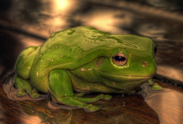 hdr photography examples