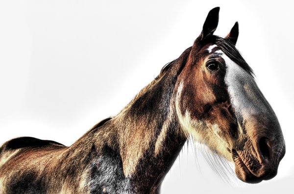 hdr photography examples