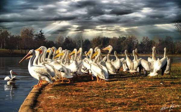 hdr photography examples