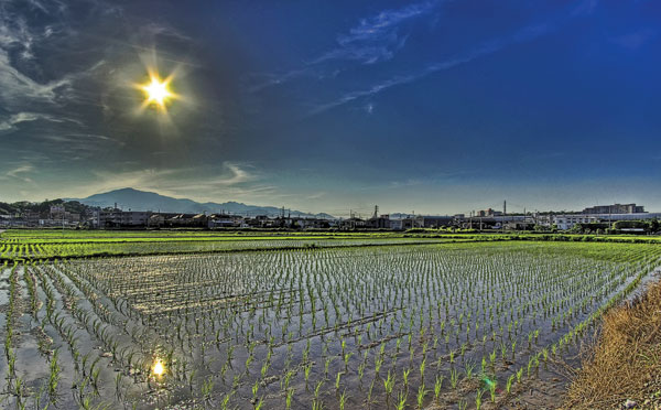 hdr photography examples