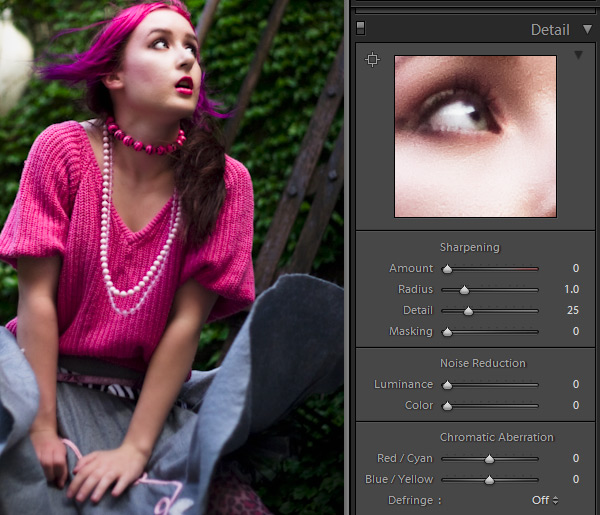 lightroom 2 guide tutorial