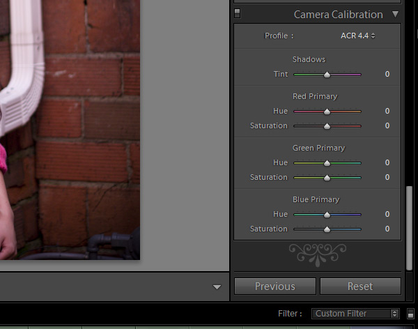 lightroom 2 guide tutorial