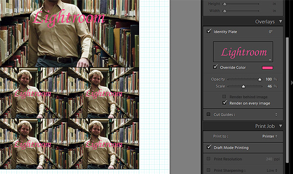 lightroom 2 guide tutorial
