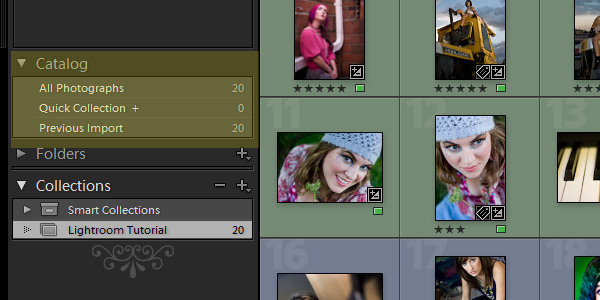 lightroom 2 guide tutorial