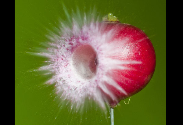 high speed photography