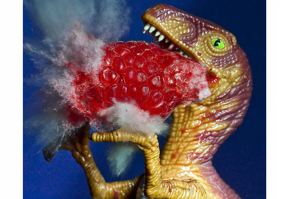 high speed photography