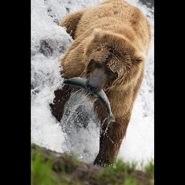 high speed photography