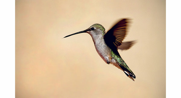 high speed photography