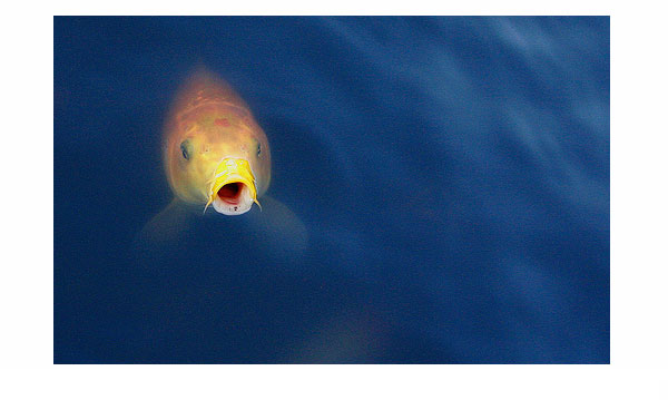 high speed photography