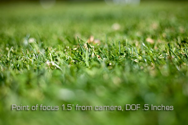 image focus and sharpness