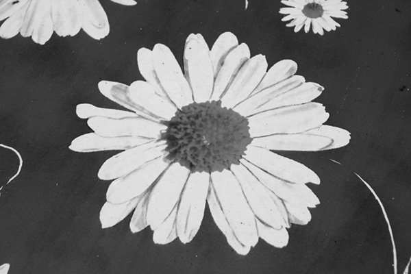 black and white conversion photoshop