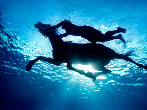 underwater photography inspiration