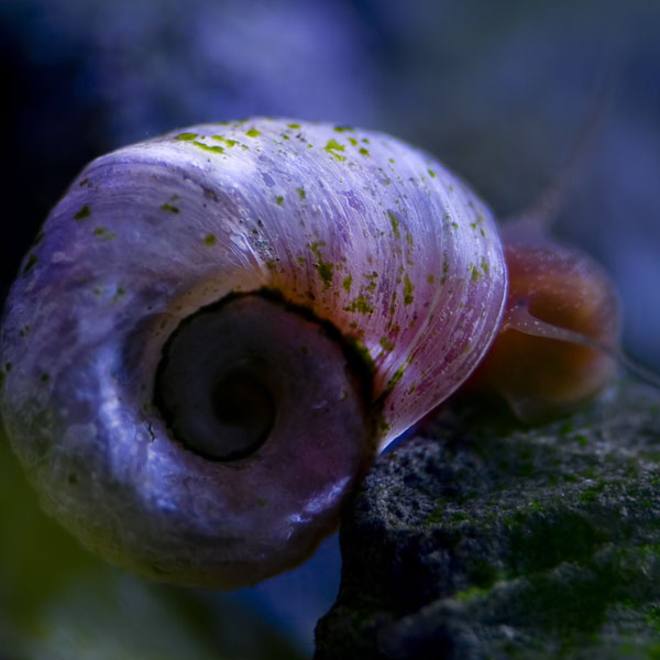 underwater photography inspiration