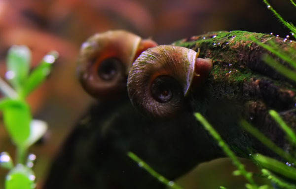 underwater photography inspiration