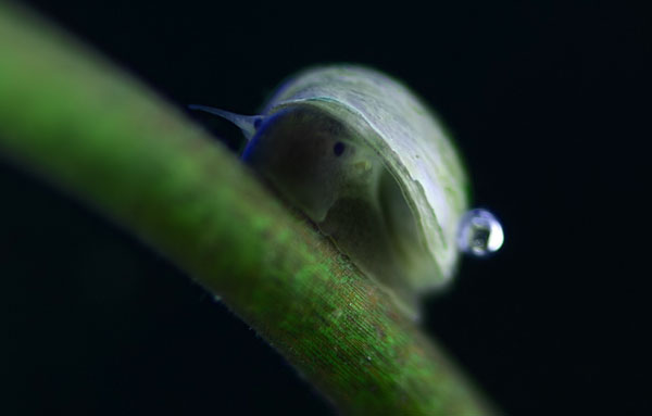 underwater photography inspiration