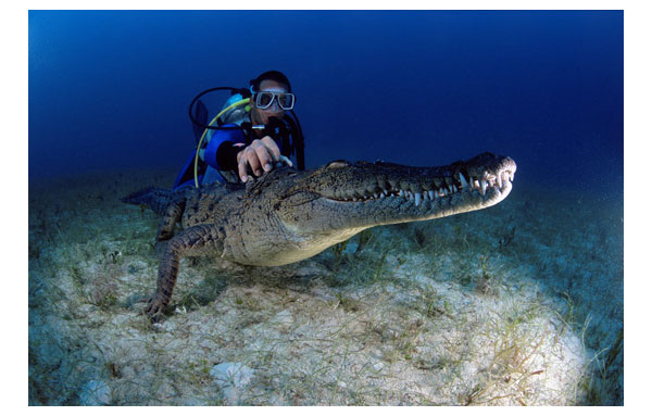 underwater photography inspiration