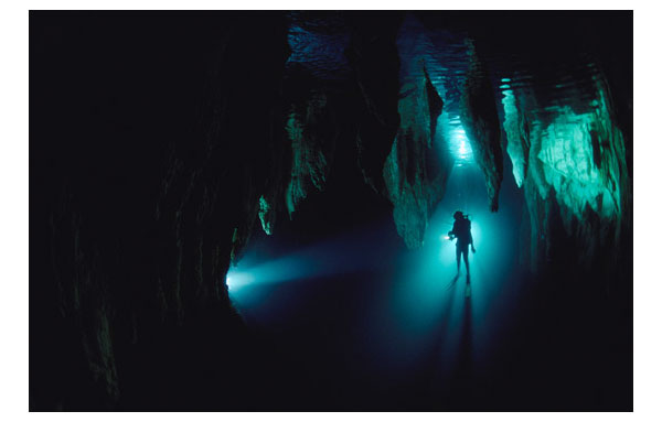 underwater photography inspiration