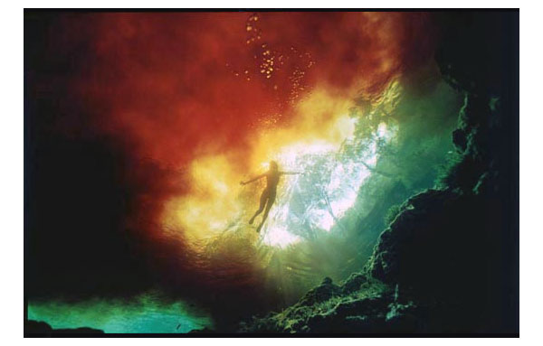 underwater photography inspiration