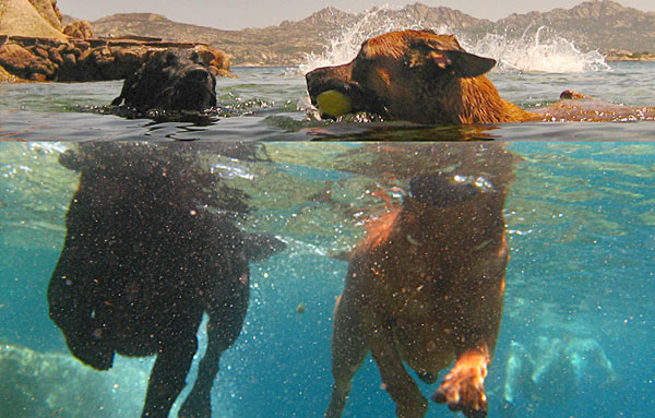 underwater photography inspiration