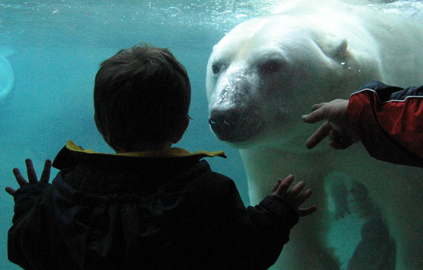 underwater photography inspiration