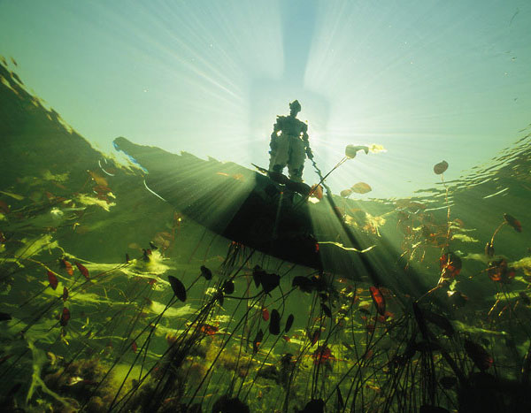 underwater photography inspiration
