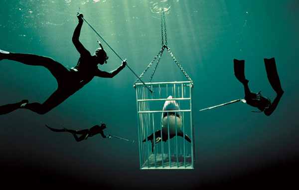 underwater photography inspiration