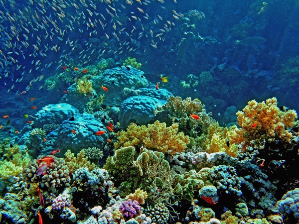 climate change photography