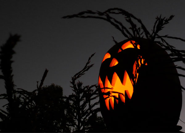 halloween and bonfire photos