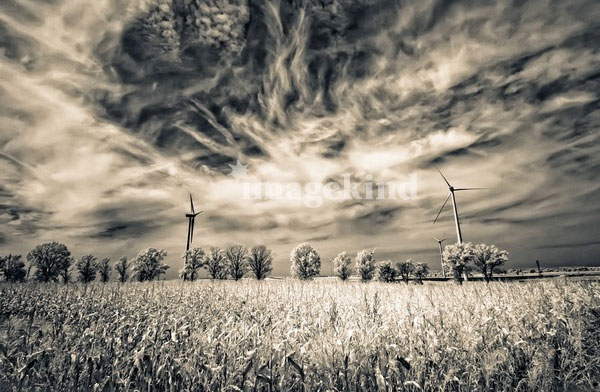 infrared photography examples