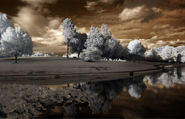 infrared photography examples