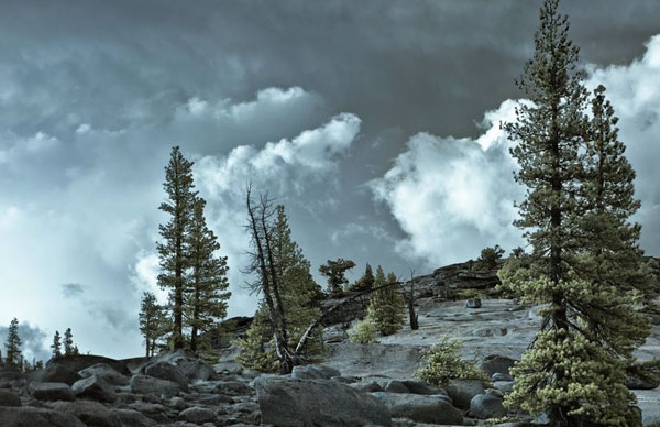 infrared photography examples