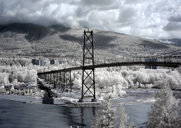infrared photography examples