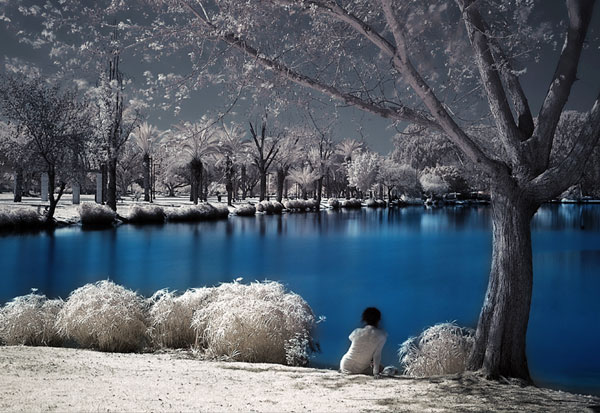 infrared photography examples